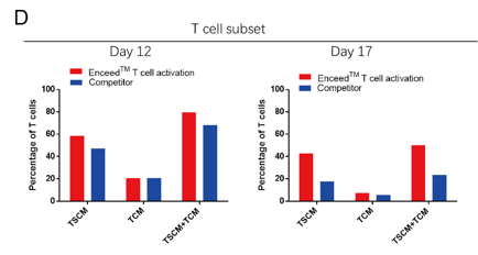 分别在激活后第12天与第17天对T细胞亚型进行监测