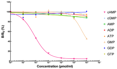 cAMP Antibody, cGMP Antibody