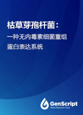 枯草芽孢杆菌：一种无内毒素细菌重组蛋白表达系统