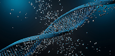 合成生物学和抗体工程学中DNA文库的构建-黄金城集团