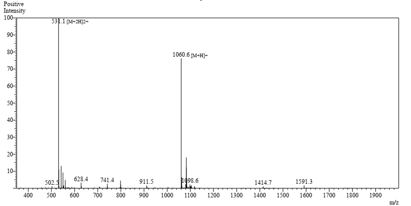 amyloid peptide