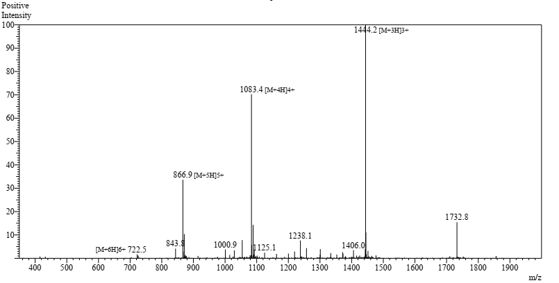 amyloid peptide