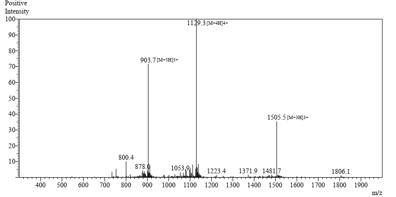 amyloid peptide