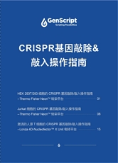crispr基因敲除和敲入操作指南 crispr基因敲除和敲入操作指南
