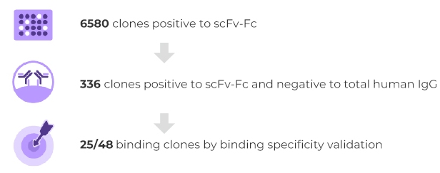 Anti-Idiotypic Antibody Application 