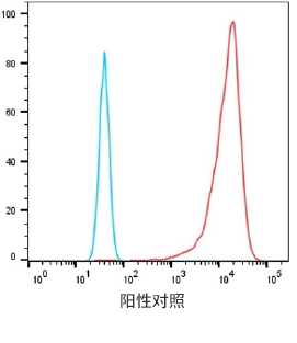 Serum titer after CLD18.2-LNP immunization